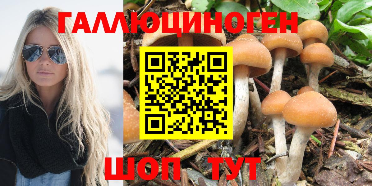 Галлюциногенные грибы ЛСД  Вход с VPN  Псилоцибиновые грибы мицелий  Бузулук 